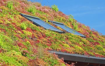 Barugh Green living roof systems